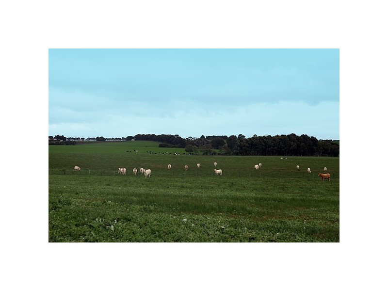 5985 Princess Highway, Irrewarra VIC 3249