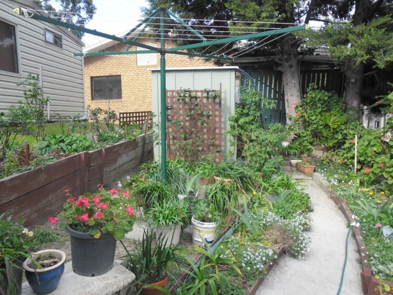 72/37 Ardlie Street, Attwood VIC 3049