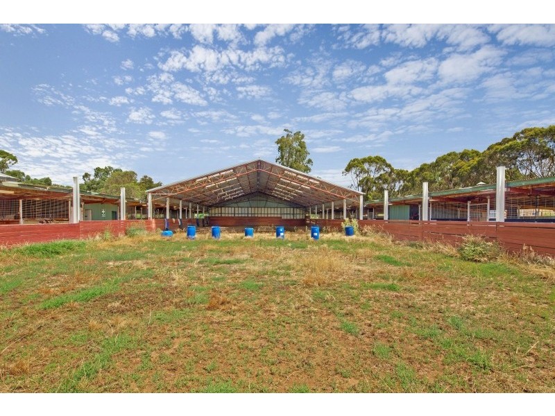 13 Kobyboyn Road, Seymour VIC 3660