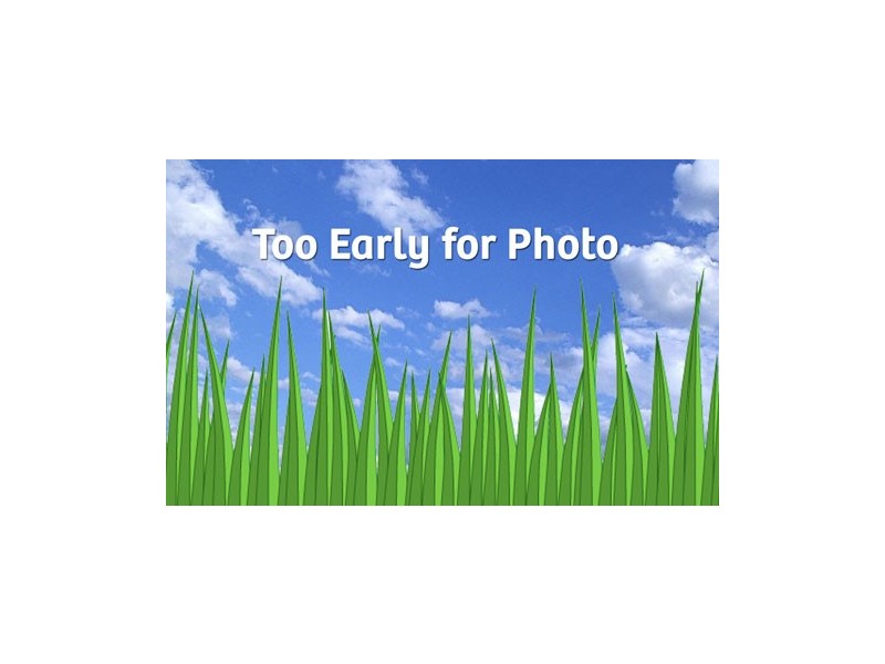 112  Maffra St, Coolaroo VIC 3048