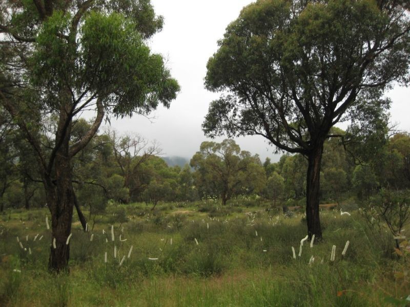 55 Coulson Road, Broadford VIC 3658