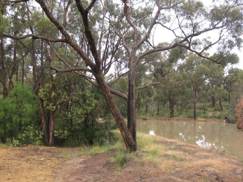 55 Coulson Road, Broadford VIC 3658