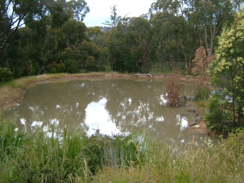 55 Coulson Road, Broadford VIC 3658