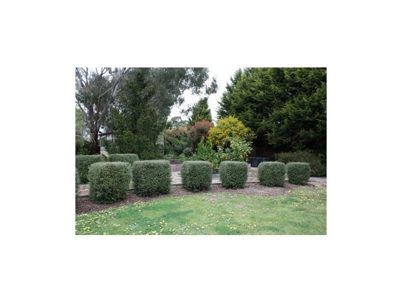 81 Donaldson, Broadford VIC 3658