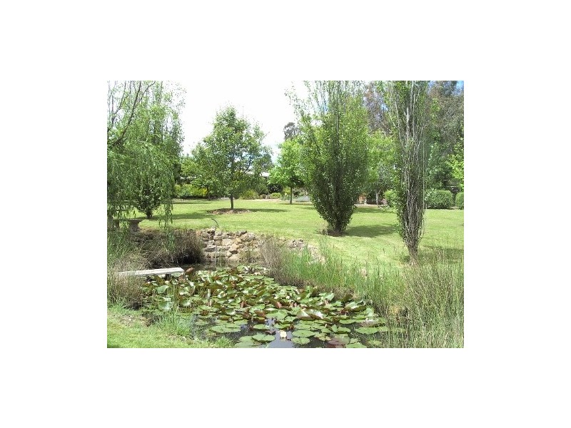 81 Donaldson, Broadford VIC 3658