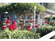 Glenaroua VIC 3764