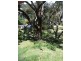 11 Mannagum Crt, Kilmore VIC 3764