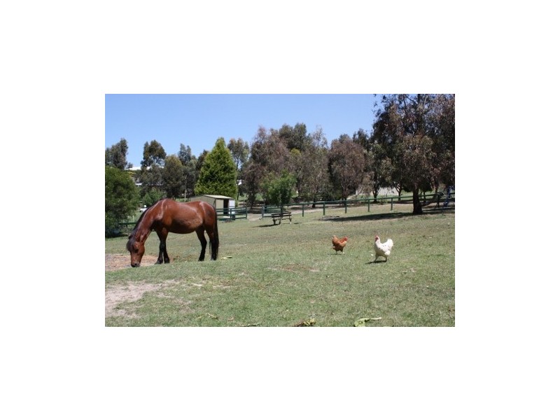 14 Kooralinga Dve, Wandong VIC 3758