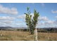 Nulla Vale VIC 3435