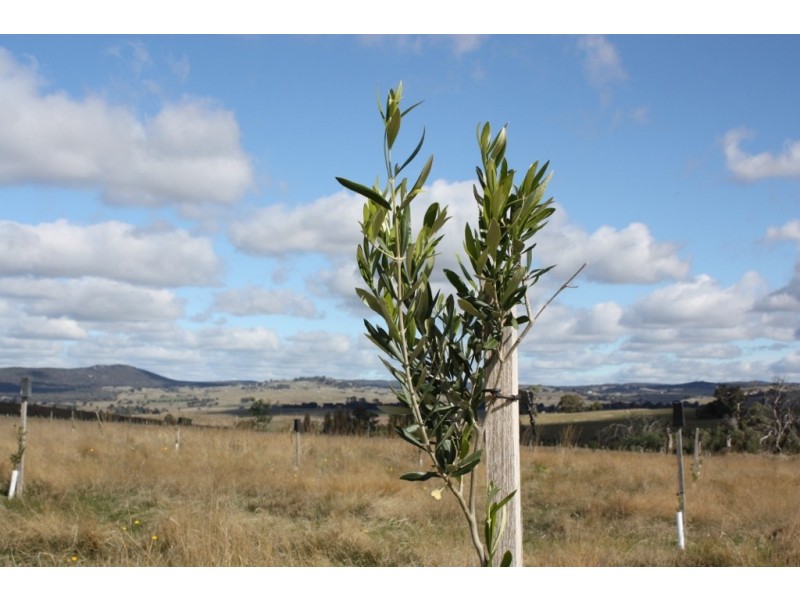 Nulla Vale VIC 3435