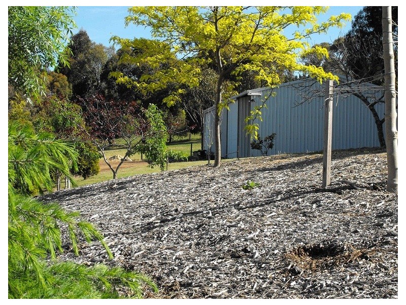 Kilmore VIC 3764