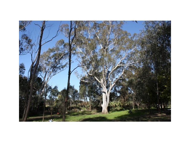 1 DEREK DRIVE, Broadford VIC 3658