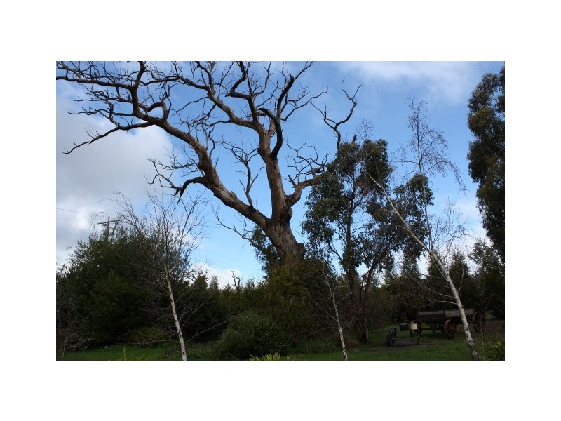 70 Branigan Drive, Kilmore VIC 3764