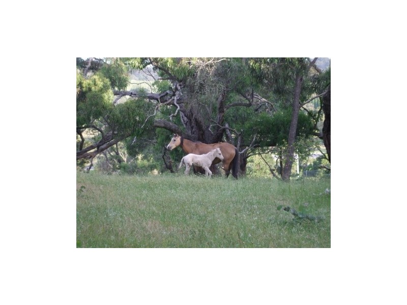 Hidden Valley VIC 3756