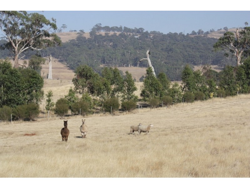 Lancefield VIC 3435