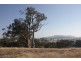 Lancefield VIC 3435