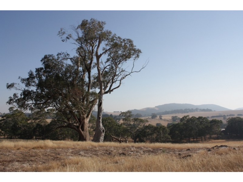 Lancefield VIC 3435