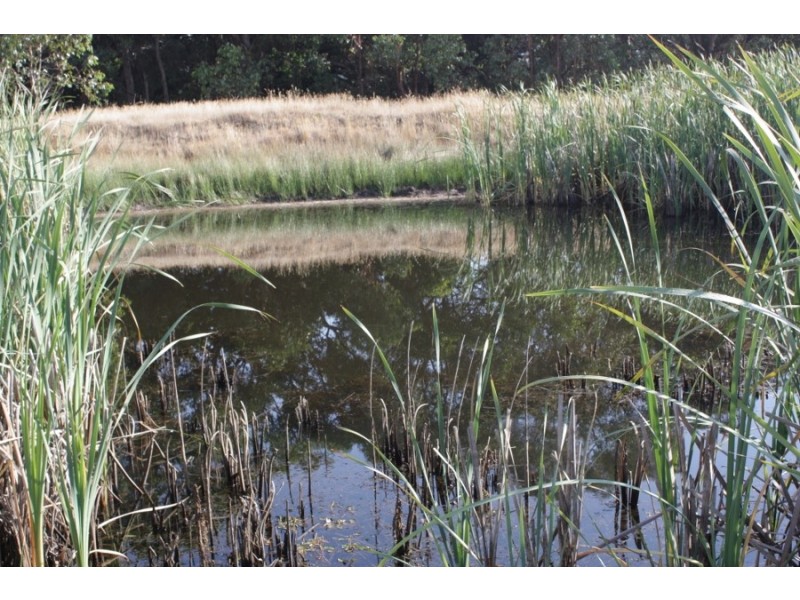 Lancefield VIC 3435