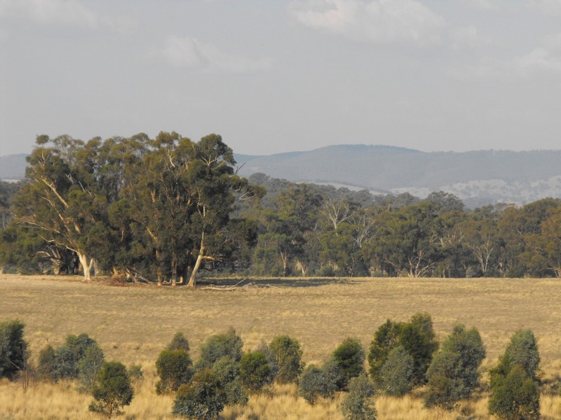 Lot 15 Bush Pea Drive, Seymour VIC 3660