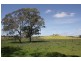 Lot 1 670 Broadford Pyalong Road, Glenaroua VIC 3764