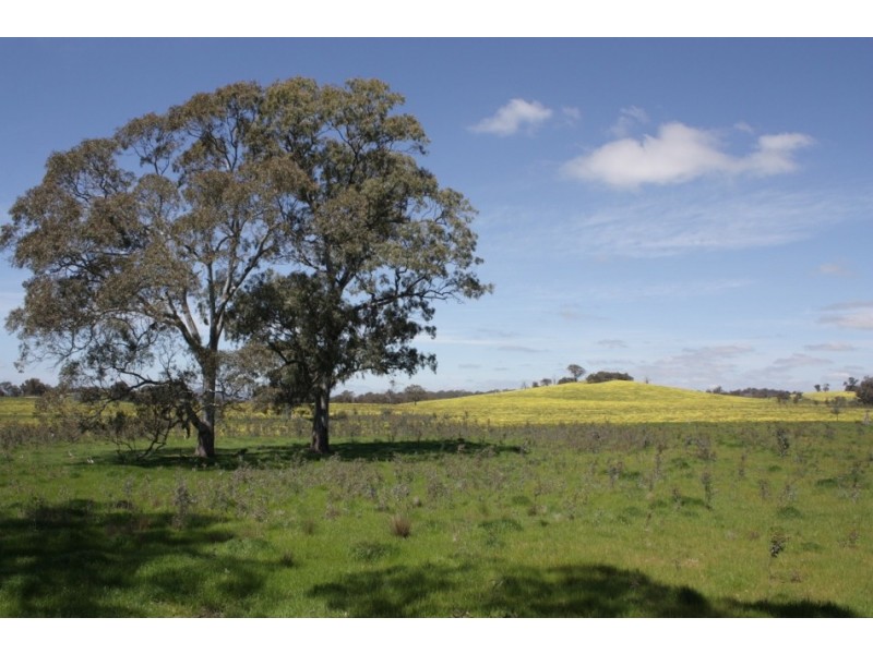 Lot 1 670 Broadford Pyalong Road, Glenaroua VIC 3764