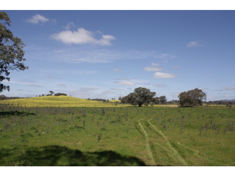 Lot 1 670 Broadford Pyalong Road, Glenaroua VIC 3764