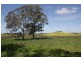 Lot 1 670 Broadford Pyalong Road, Glenaroua VIC 3764