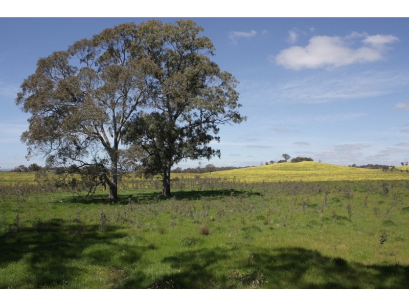 Lot 1 670 Broadford Pyalong Road, Glenaroua VIC 3764