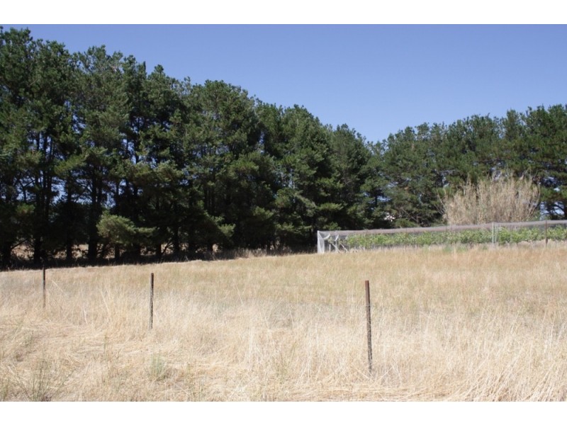 13 Whalan Court, Pyalong VIC 3521