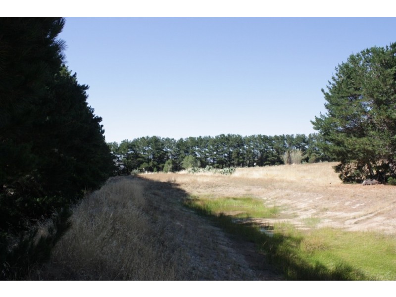 13 Whalan Court, Pyalong VIC 3521