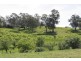 64 Killingworth West Rd, Yea VIC 3717