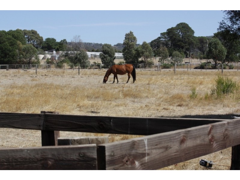 155 Diggings Road, Willowmavin VIC 3764