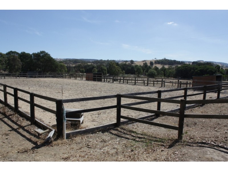 155 Diggings Road, Willowmavin VIC 3764