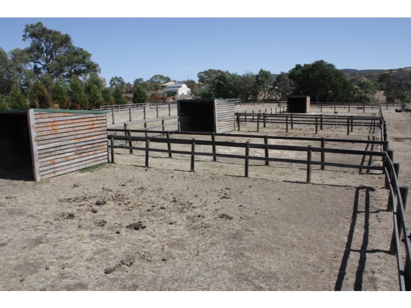 155 Diggings Road, Willowmavin VIC 3764