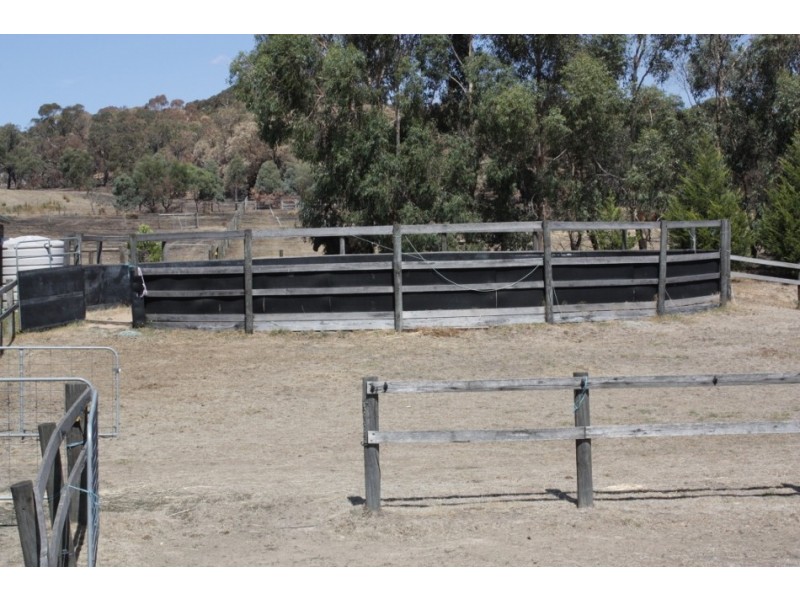 155 Diggings Road, Willowmavin VIC 3764