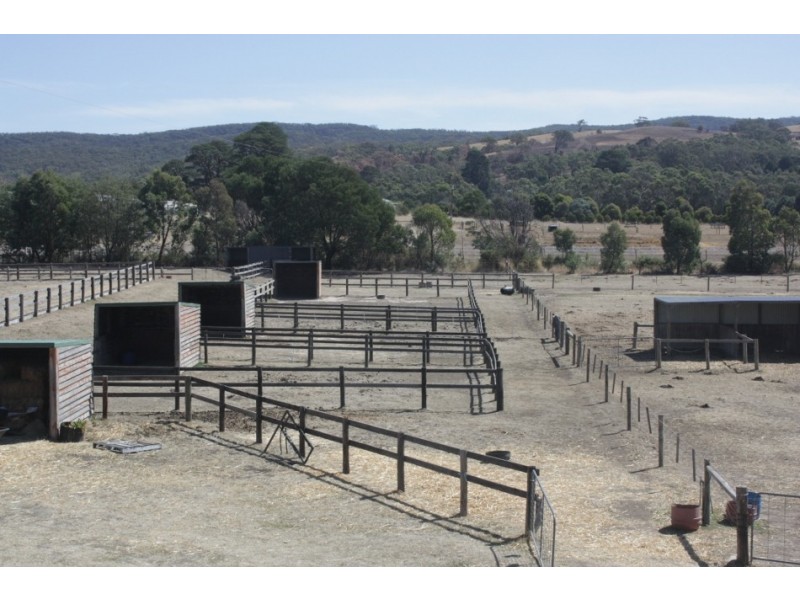 155 Diggings Road, Willowmavin VIC 3764