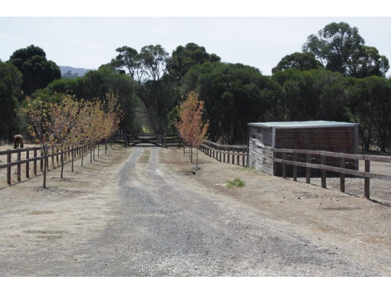 155 Diggings Road, Willowmavin VIC 3764