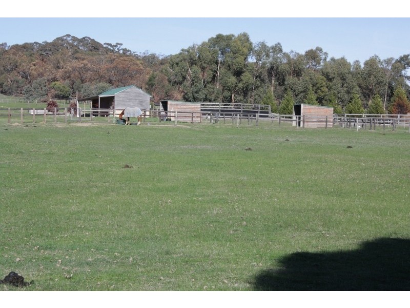 155 Diggings Road, Willowmavin VIC 3764