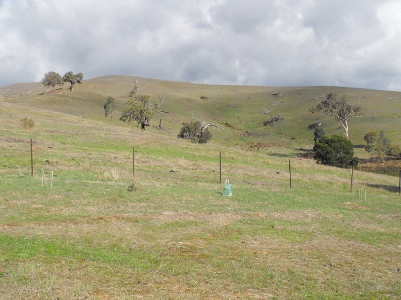 174 Allandale Road, Strath Creek VIC 3658