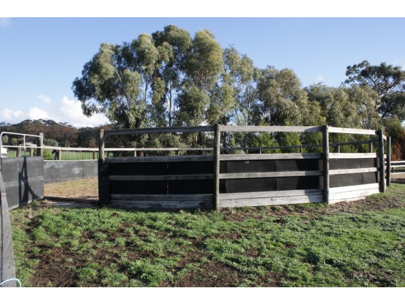 155 Diggings Road, Kilmore VIC 3764