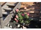155 Diggings Road, Kilmore VIC 3764