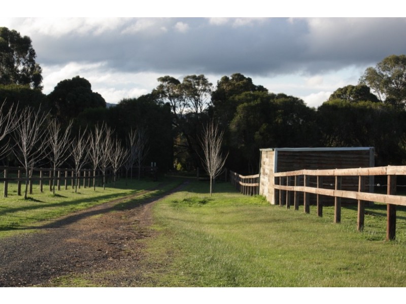 155 Diggings Road, Kilmore VIC 3764