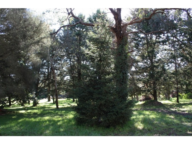 22 RANGE ROAD, Heathcote Junction VIC 3758