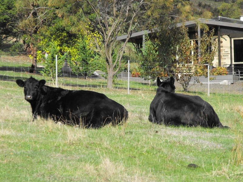 172-174 Allandale Road, Strath Creek VIC 3658