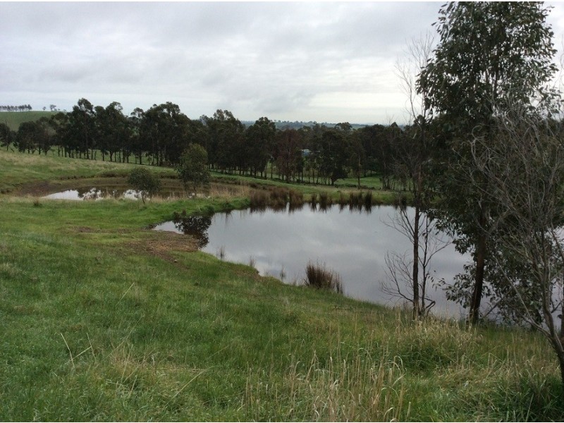 Lot 2 Botterils Lane, Whiteheads Creek VIC 3660