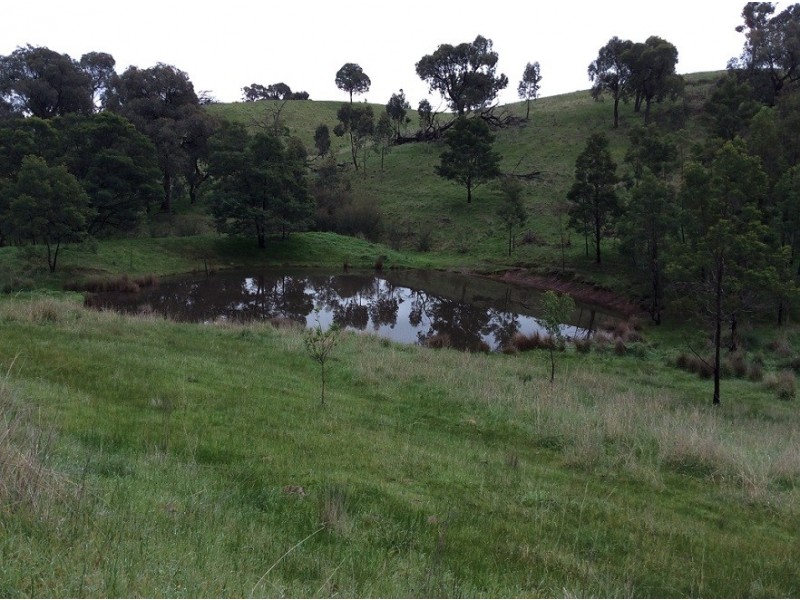 Lot 2 Botterils Lane, Whiteheads Creek VIC 3660