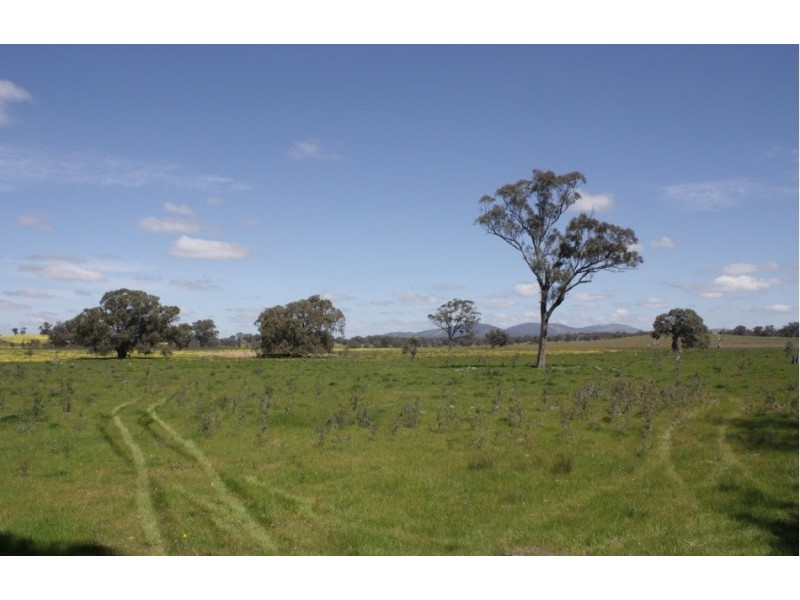 670 Broadford Pyalong Road, Pyalong VIC 3521