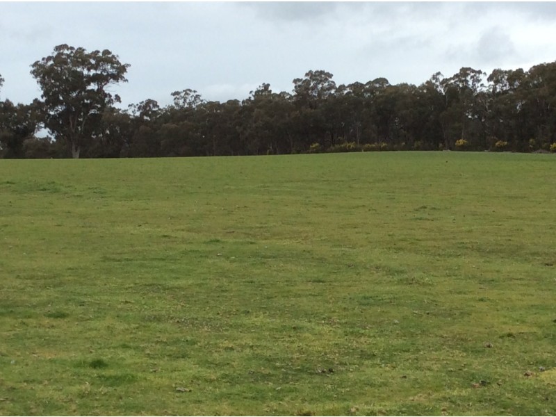 295 Telegraph Road, Seymour VIC 3660