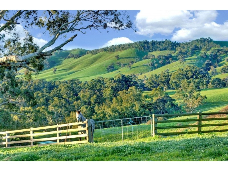 9-11 Romano, Pyalong VIC 3521