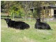 172-174 Allandale Road, Strath Creek VIC 3658